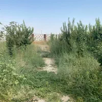 زمین-200متری-در-نزدیکی-گلبهار