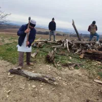 شاطر نانواهستم