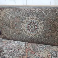 پشتی ۷۰۰ شانه|پشتی|قم, شهر قائم|دیوار