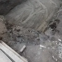 بابکت  توماس