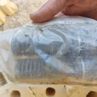 چراغ جلو ال نود خورشیدی عقب موتور و جاپایی عقب|قطعات یدکی و لوازم جانبی|شیراز, شاپورجان|دیوار