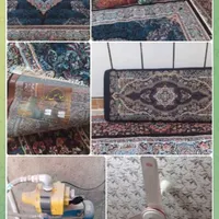 قالی ماشینی|فرش|شوشتر, |دیوار