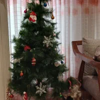 کاج با جوراب و بابانوئل