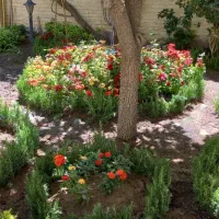 خدمات باغبانی باغچه کاری تعویض خاک باغچه
