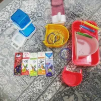 عروس هلندی مولد|پرنده|سقز, |دیوار