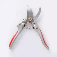 قیچی و اره باغبانی|ابزارآلات|زنجان, |دیوار