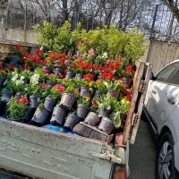 خدمات باغبانی تمام نقاط تهران گل کاری هرس خاکگلدان|خدمات باغبانی و درختکاری|تهران, نیروی هوایی (پیروزی)|دیوار