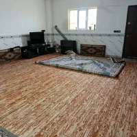 فرش فروشی|فرش|علی‌آباد کتول, |دیوار