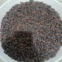 کشمش تر وتمیز