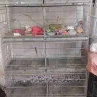 قفس پرنده هشت خان