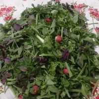 مهره