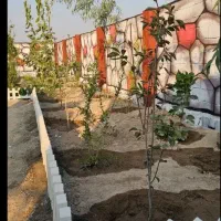 باغچه 225متری شهرکی در شهریار