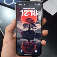 15pro