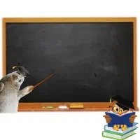 تدریس خصوصی عربی متوسطه اول