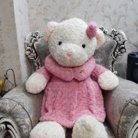 خرس شاسخین|اسباب‌بازی بچه|پاکدشت, پاکدشت (مامازند)|دیوار