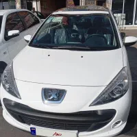 207 پاناروما دنده خشک 1404