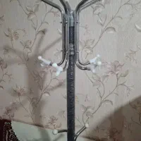 رگال ایستاده در حد نو