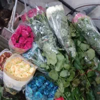 گلفروشی آنلاین با ارسال فوری تهران از ونک|گل و گیاه طبیعی|تهران, ونک|دیوار