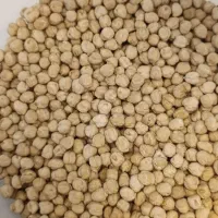 خریدار نخود سفیدونخود سیاه