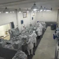 نیروی خانم جهت تا و بسته بندی محلفه قطارهای مسافری