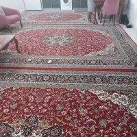 فرش دوازده و نه متری همراه کناره|فرش|چمستان, |دیوار