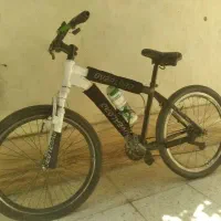 دوچرخه ۲۴ درحد