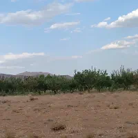 فروش چاه کشاورزی  با متعلقات کامل|فروش زمین و ملک کلنگی|بهمن صغاد, |دیوار