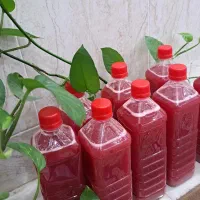 آب انار ورب انار خانگی|خوردنی و آشامیدنی|میبد, |دیوار