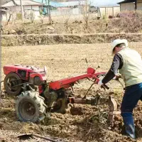 کاربا تیلر وشخم زدن|خدمات باغبانی و درختکاری|الشتر, |دیوار