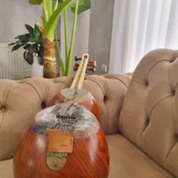 تار حرفه ای