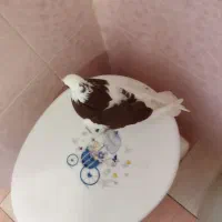 دوتا کفتر|پرنده|شیراز, کوشک میدان|دیوار