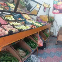 لوازم میوه فروشی|فروشگاه و مغازه|شیراز, کوشک میدان|دیوار