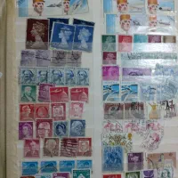 البوم تمبر|کلکسیون سکه، تمبر، اسکناس|ملارد, |دیوار