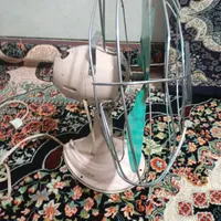 پنک انتیک کلکسیونی