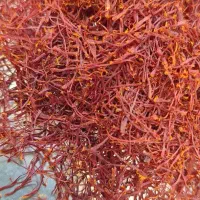 نگین زعفران