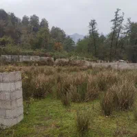 زمین مسکونی|فروش زمین و ملک کلنگی|گوراب زرمیخ, |دیوار