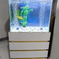 آکواریوم با لوازم