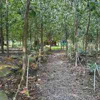 فروش خونه بافول امکانات|فروش خانه و ویلا|گرمدره, |دیوار