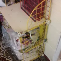 قفسه|کتابخانه، شلف، قفسه‌های دیواری|شهرکرد, |دیوار