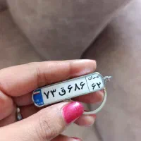 جاسوئچی پلاک خودرو