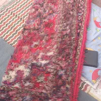 زرنیم تازه از دار افتاده به قیم مناسب|فرش|تبریز, |دیوار
