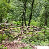 زمین-کشاورزی-با-درختان-حاصل-ده