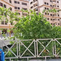 استخدام کارگر نظافتی و نگهبان مجتمع مسکونی