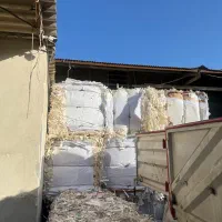 نیازمند نیروی کار