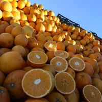 میوه فروشی سیار