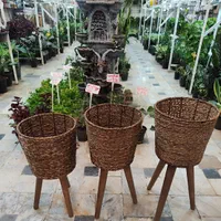 استند پایه گلدان دور حصیری سه تایی شفلرا آگلونما|گل و گیاه طبیعی|قم, نیروگاه|دیوار