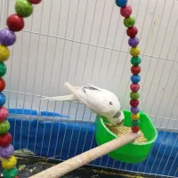 ‌‌..۱۳۴