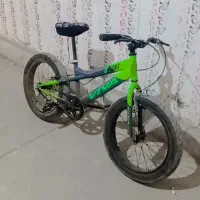 دوچرخه ویوا حرفه ایی کوهستانی