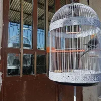 یک عدد قفس پایه دار|لوازم جانبی حیوانات|طرقبه, |دیوار