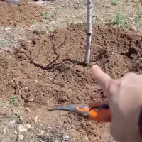 مشاوره وکمک به‌شمادرزمینه‌کشاورزی و‌باغداری‌رایگان